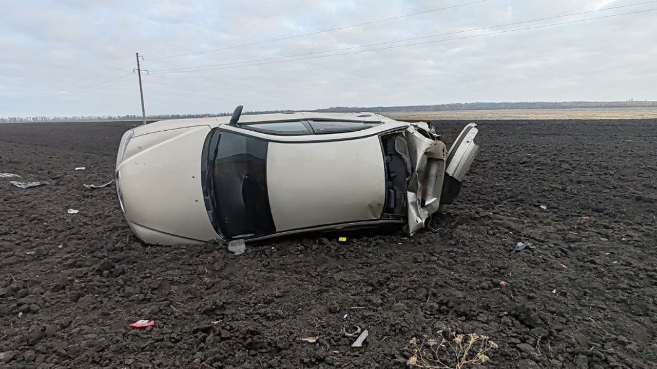 Автомобилист вылетел в кювет из-за бросившегося под колёса зверя  ДТП произошло вчера на 105 км трассы М-4 «Дон» – Бутурлиновка – Воробьевка – Калач. По словам 21-летнего водителя, он пытался уйти столкновения с диким зверем. Парень смог самостоятельно добраться до больницы.  Какое животное могло выбежать на дорогу – выясняется.