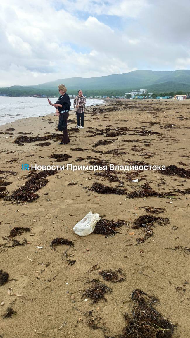 Жители Владивостока жалуются на ужасное состояние пляжа на Шаморе. Раньше как-то более активно занимались уборкой, сейчас незаметно. А сегодня многие уже поедут открывать сезон.
