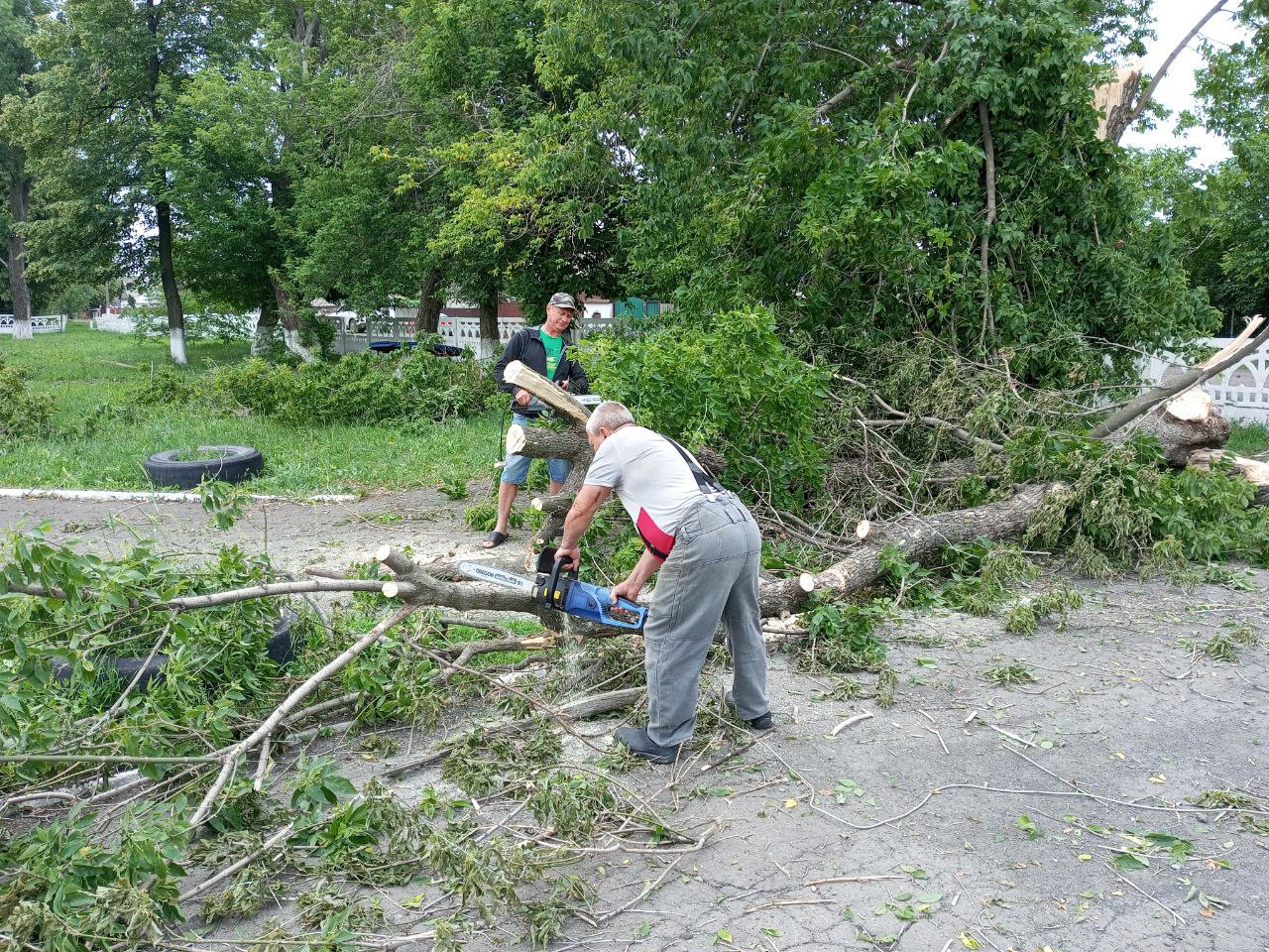 Сотрудники Дома культуры им. Ленина пгт Новодарьевка распилили и убрали поваленные деревья на территории ДК. Основной целью проводимых мероприятий является обеспечение безопасности населения, путем своевременного удаления упавших деревьев, ветвей и иных древесных элементов, создающих препятствия движению пешеходов и транспорта. Было проведено обследование местности для выявления всех потенциально опасных участков и мест расположения упавших деревьев, подготовлена необходимая техника для вывоза древесины и спецоборудование для измельчения порубочных остатков. Работы выполнялись поэтапно: разделка стволов, измельчение мелких частей, вывоз мусора. Проведенные работы позволили существенно снизить риски происшествий и обеспечить комфортное передвижение жителей посёлка.