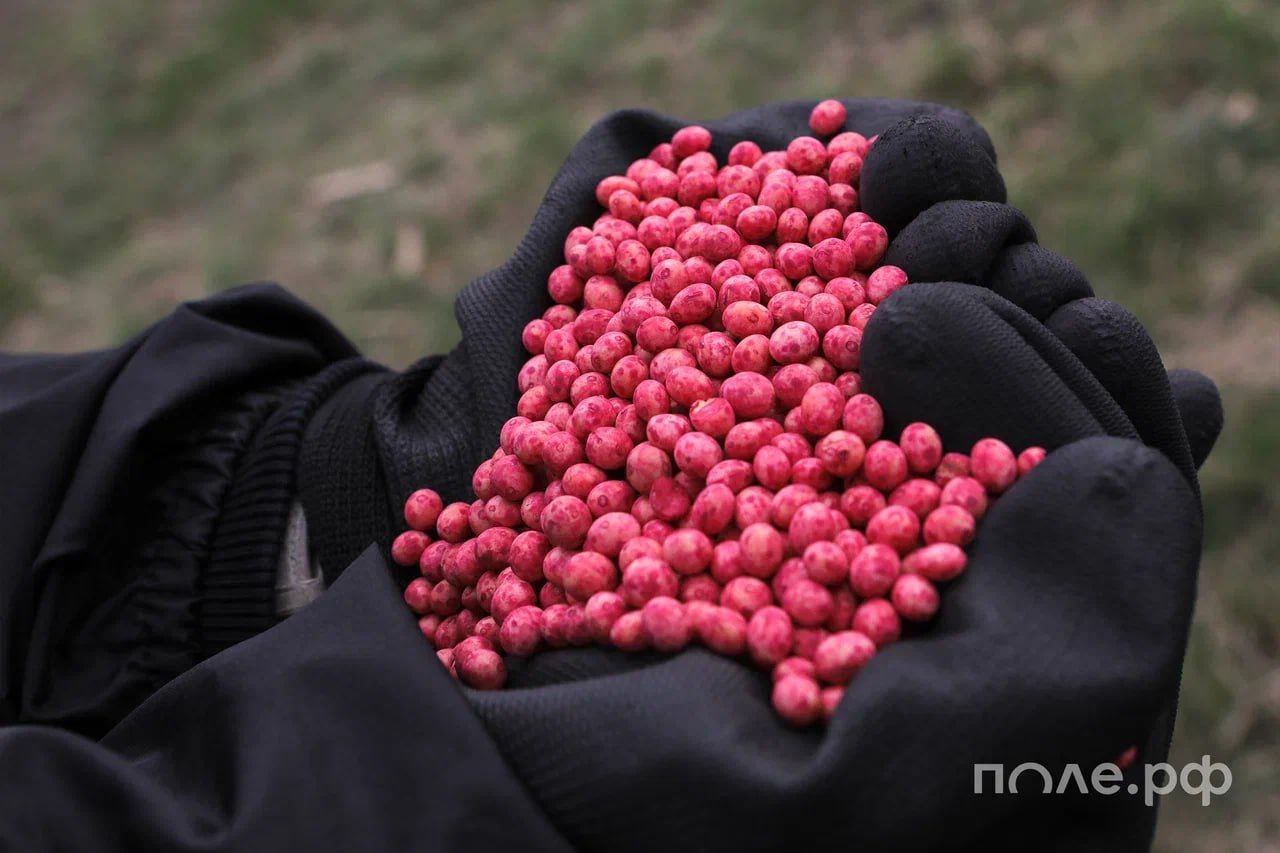 Эксперты обсудят проблемы селекции и семеноводства на ЮГАГРО 2025 в Краснодаре Ключевая тема дискуссии долговременное прогнозирование как основа формирования селекционных программ Участники рассмотрят методики подходы и реальные кейсы из практики бизнеса Среди спикеров круглого стола Алексей Маренков генеральный директор ГК АгроТерра Михаил Копейкин руководитель управления по эксплуатации системы прослеживаемости зерна ФГБУ Центр Агроаналитики Максим Чекусов директор Омского аграрного научного центра Модераторами выступят Директор Ассоциации Национальный семенной альянс Ольга Лесных Руководитель департамента управления портфелем продуктов ГК АгроТерра Людмила Калякина Подробнее pole journal