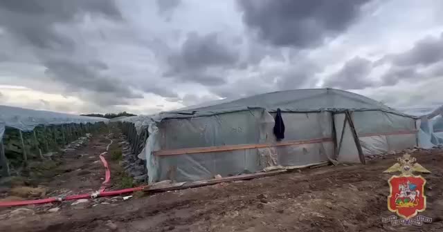 В Жуковском задержаны нелегальные мигранты на тепличном комплексе