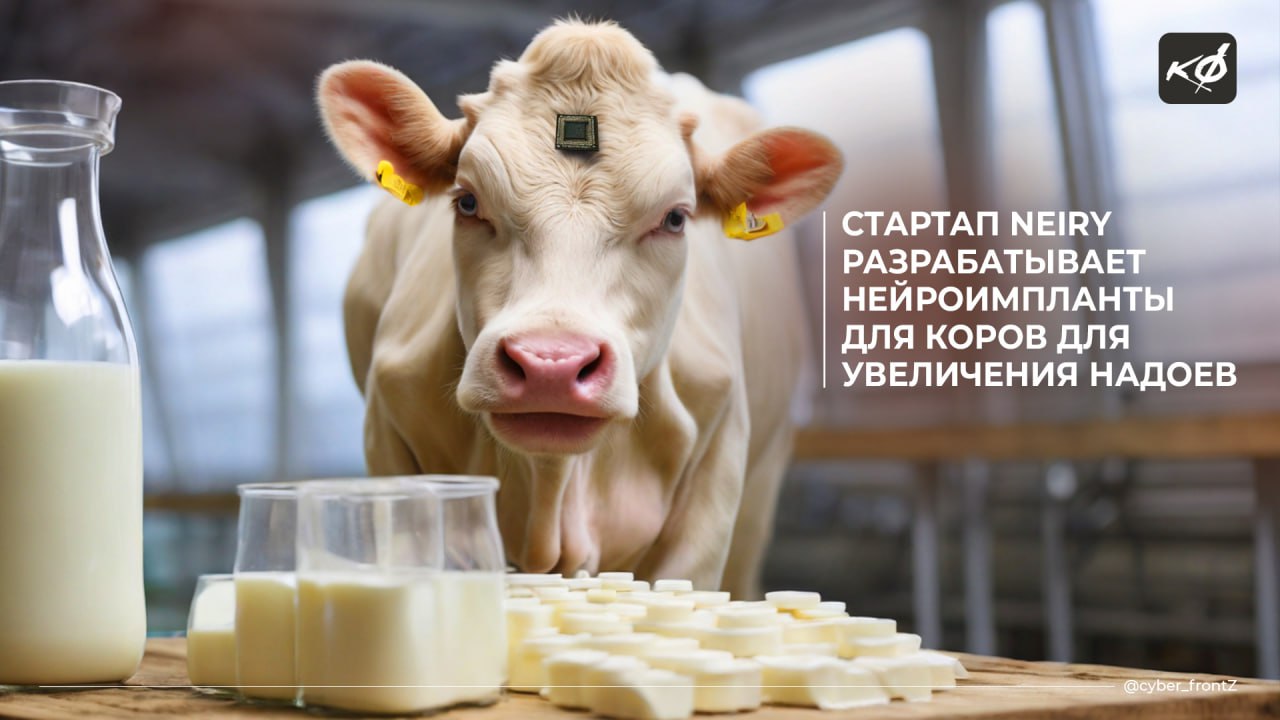 Российский стартап Neiry разрабатывает нейростимуляторы для повышения надоев у коров Проект "Нейророга" направлен на увеличение надоев у молочных коров и повышение привесов за счет стимуляции мозга через инвазивные нейроимпланты. Они воздействуют на определенные зоны мозга, в том числе отвечающие за репродуктивную функцию. Ожидается, что такая нейростимуляция приведет к долговременному улучшению выработки молока. В настоящее время проект проходит тестирование на фермерских хозяйствах в Свердловской области. КИБЕРФРОНТ.