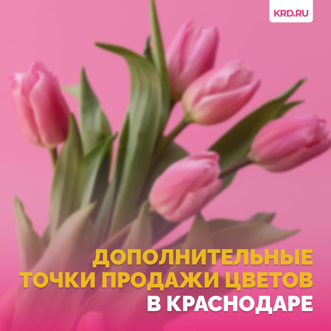 В преддверии Международного женского дня в Краснодаре заработают 53 дополнительных точки продажи цветов   Продавцы представят горожанам широкий ассортимент сортов и расцветок тюльпанов. Также можно будет купить мимозы, нарциссы, гиацинты и другие цветы.  Места продаж будут открываться постепенно. Живые цветы можно приобрести уже с сегодняшнего дня и по 8 марта включительно по адресам, указанным на сайте    Читайте нас:    Телеграм     ВК     Дзен