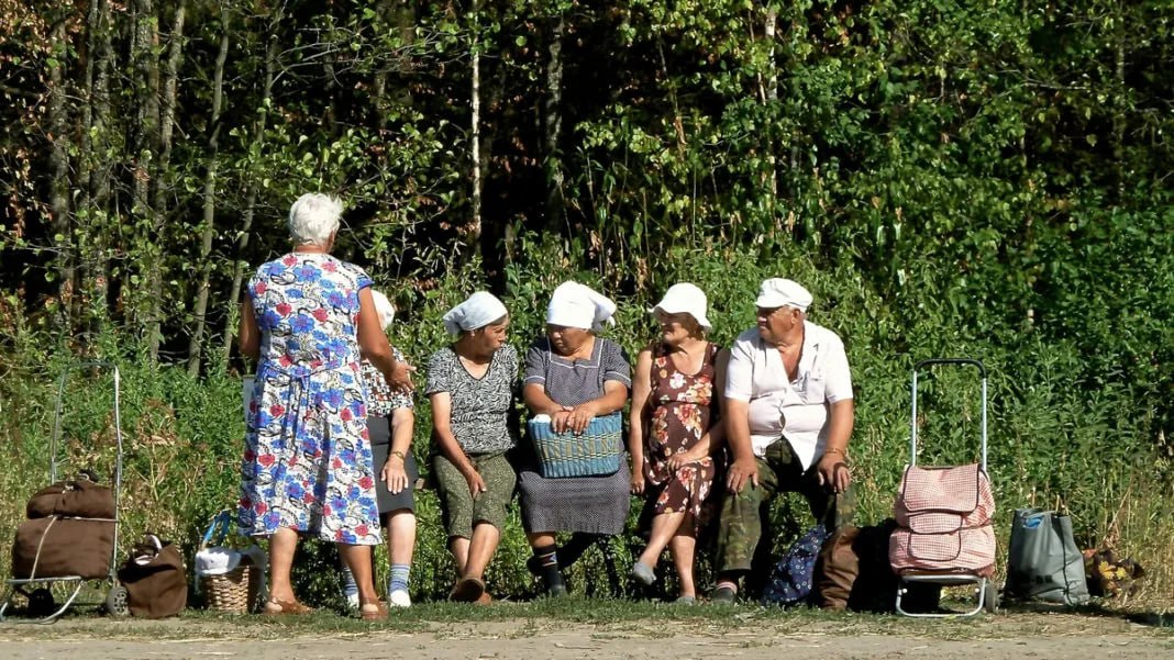 Садовые маршруты из Стерлитамака закроют 20 октября.  Это связано с завершением дачного сезона, сообщает городской филиал «Башавтотранса». Они возобновят работу только весной 2025 года.    Подпишись на «Короче, Стерлитамак»