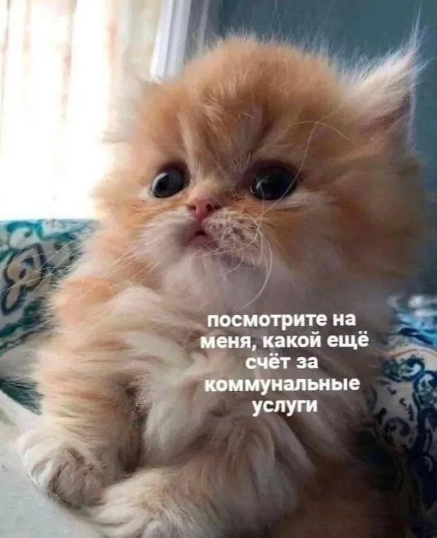 Нечем похвастаться Омск занял 59 место в рейтинге регионов по доступности электроэнергии Новая неделя новый рейтинг от РИА Новости На этот раз аналитики решили посмотреть как обстоят дела в регионах России с доступностью электроэнергии для населения Омская область заняла почетную 59 строчку На чистую среднюю зарплату в регионе можно позволить себе 9994 кВт ч электроэнергии Ее стоимость для квартир без электроплит при минимальном объеме потребления составила 636 рублей за 100 кВт ч по состоянию на март 2026 го Кстати лидером по доступности электроэнергии оказалась Иркутская область на среднюю чистую зарплату там можно позволить себе 45 997 кВт ч Именно в этом регионе самая низкая цена электроэнергии в России всего 1 8 рубля за киловатт в час Так же все хорошо с доступностью электроэнергии в ЯНАО 36003 кВт ч и ХМАО 27487 кВт ч Цены ниже среднероссийских а средние зарплаты в этих регионах одни из самых высоких в стране   Мы в МАКС