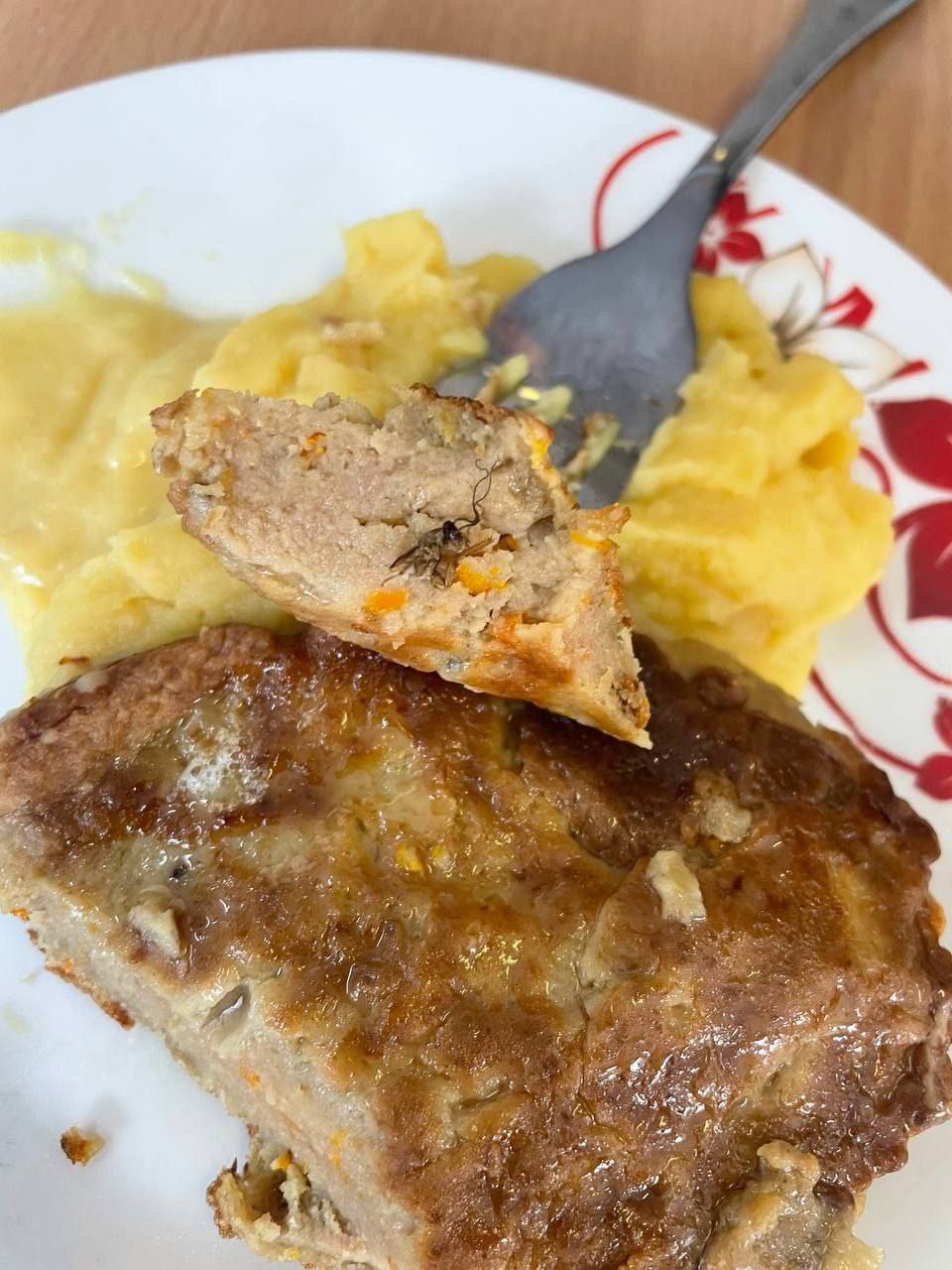 Таракана в котлете как утверждают в соцсетях нашли в столовой одной из школ Владивостока Прокуратура и Роспотребнадзор начали проверку Подписаться на РИА Новости