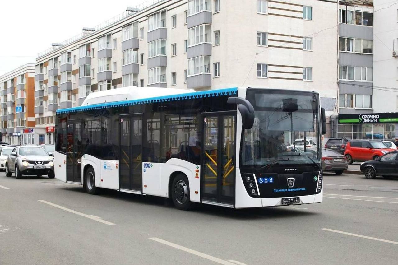 В Уфе на 13 автобусных маршрутах подорожает проезд с 26 мая. В мэрии Уфы пояснили, что это инициатива частного перевозчика Ф. Батырова. На всех маршрутах, которые обслуживает ИП стоимость проезда вырастет до 45 рублей. Подписаться Прислать новость