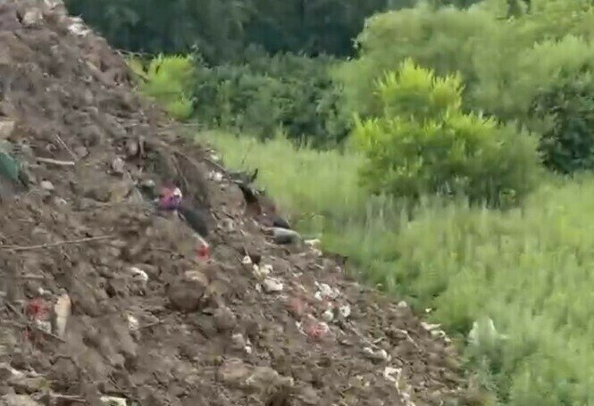 После обращения в прокуратуру Амурской области в Октябрьском районе ликвидирована несанкционированная свалка на сельском кладбище К заместителю прокурора области Александру Трифонову обратилась жительница села Екатеринославка по факту захламления территории кладбища отходами После этого прокуратура района незамедлительно организовала проверку в ходе которой факты изложенные в обращении подтвердились На территории кладбища обнаружили навалы древесины покрышек цветов и венков изготовленных из полимерных материалов в неустановленных для этого местах Мусорные баки переполнены контейнерные площадки захламлены Надзорное ведомство внесло представление руководителю организации ответственной за содержание кладбища и возбудила дело об административном правонарушении предусмотренном ст 6 35 КоАП РФ Несоблюдение санитарно эпидемиологических требований при обращении с отходами производства и потребления Благодаря принятым мерам прокурорского реагирования свалка ликвидирована мусор вывезен сообщили в пресс службе областной прокуратуры Подпишись на Amur life Мы в МАХ