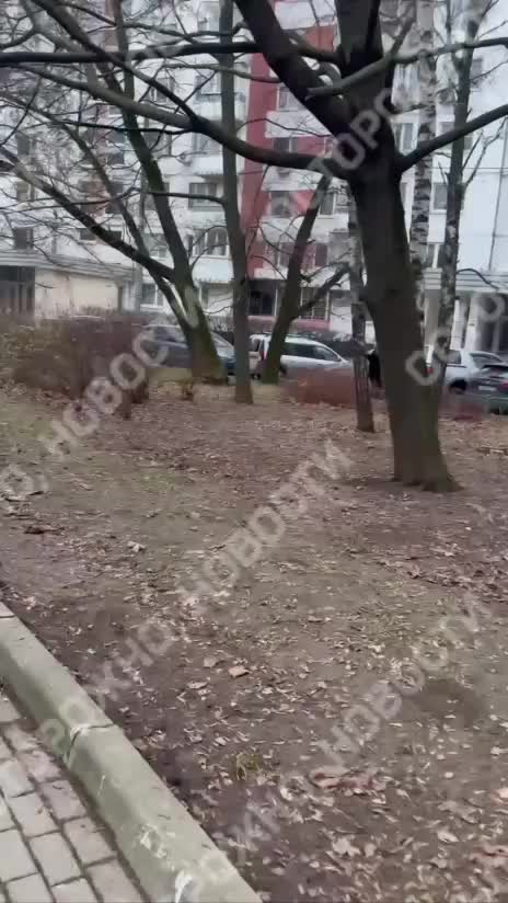 Стрельба возле жилого дома на Мичуринском проспекте в Москве: полиция проводит проверку