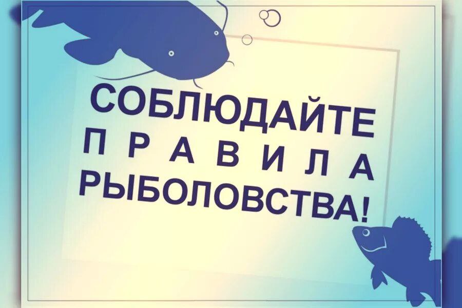 Вниманию рыбаков Приказом Минсельхоза РФ 1 от 09 01 2020г в ред от 19 01 2024г утверждены правила рыболовства для Азово Черноморского рыбохозяйственного бассейна Разделом III определены водные объекты рыбохозяйственого значения бассейна Азовского моря расположенных на территории Запорожской области п 34 приказа районами запретными для добычи водных биоресурсов являются  магистральные и другие каналы оросительных и иных мелиоративных систем за исключением заморных периодов п 35 1 запретные для добычи водных биоресурсов устанавливаются  в течении года самки рака пресноводного вынашивающего икру и личинок осетровые виды рыб и водные животные и растения занесенные в красную книгу РФ и субъектов РФ в районе действия настоящих правил п 35 2 Запрещается специализированный промысел за исключением всех видов рыб с 1 июня по 31 марта в водных объектах рыбохозяйственного значения рака пресноводного с 15 июня по 31 декабря ракаловками в водных объектах креветок черноморских с 1 сентября по 31 мая закидными неводами волокушами и ручными сачками в водных объектах рыбохозяйственного значения гаммаруса с 1 мая по 31 октября ручными сачками повсеместно артемии на стадии цист с 15 июня по 28 февраля сбор скребками лопатами граблями и метлами на берегу из штормовых выбросов а также с поверхности воды отцеживающими тралящими ставными орудиями добычи с использованием или без использования плавучих средств а также с использованием насосов или водяных помп в водных объектах с содержанием солей более 40г л хирономид в течении года мотыльницами диаметром до 1 м ручными сачками диаметром до 0 6м и рамками ситами размером до 1 кв м из мельничного газа с использованием насосов или помп для взмучивания ила повсеместно в водных объектах с содержанием солей более 40г л При добычи хирономид допускается использование насосов производительностью не более 120 куб м в час планктонных ракообразных кладоцер копепод ммизид в течении года ручными сачками прямоугольной или круглой формы с размером стороны входа или диаметром до 1м планктонными с сетями с входом прямоугольной или круглой формы с размером рамки до 1 5м или диаметром до 1 м и волокушами со вставкой в кутке мельничного газа 40в водных объектах с содержанием солей более 40 г л При добычи планктонных ракообразных ручными сачками допускается с использованием насосов производительностью не более 45 куб в час или лодочных моторов для создания потока воды Сроки нерестового запрета в Запорожской области на 2025 год  с 15 апреля по 15 июня запрещён лов рыбца  с 15 ноября по 31 марта повсеместно на внутренних водных объектах осуществлять подводную охоту  с 15 января по 15 апреля запрещён лов щуки  с 1 апреля по 31 мая во всех реках включая придаточные водоёмы их пойм озера старицы полои протоки ерики  с 1 апреля по 30 июня и с 20 августа по 30 сентября рака пресноводного в водных объектах в Запорожской области Круглогодично запрещено вылавливать следующие виды рыбы морских млекопитающих дельфины осетровых черноморского лосося светлую умбрину морского петуха речную миногу вырезуба кутума азово черноморскую шемаю Любительское рыболовство разрешено с берега или с лодки на общедоступных водных объектах Разрешено использование удочек всех видов с общим количеством крючков не более 5 штук на рыболова а также спиннинга Ежедневная норма вылова не более 5 кг на одного рыбака Для использования в качестве наживки разрешено ежедневно вылавливать 100гр хирономид 100гр полихет 100гр мотыля 100гр гаммаруса В период нерестового запрета с 1 апреля по 31 мая на каждого рыбака должно быть не более одной удочки с единственным крючком