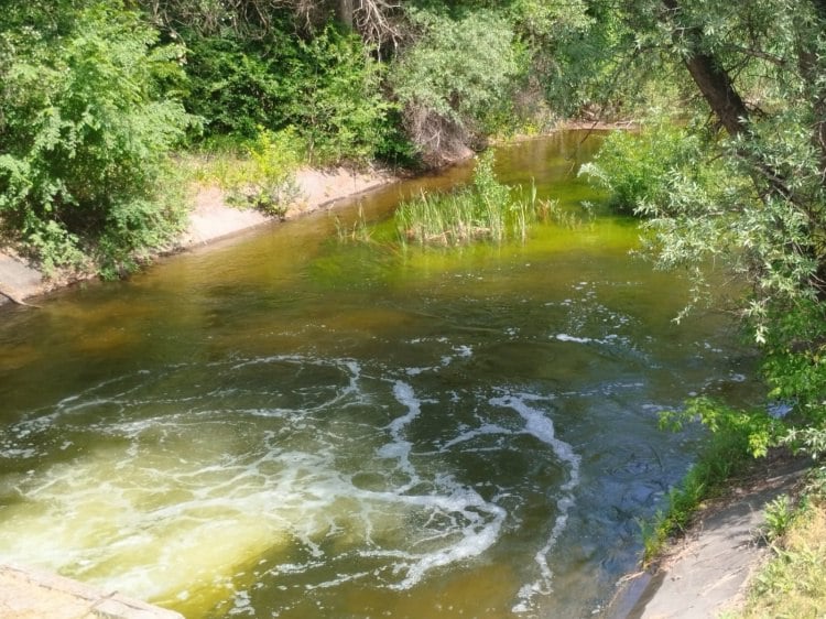 В Волгоградской области начали подкачивать воду в Волго-Ахтубинскую пойму В Волгоградской области начали дополнительно подкачивать воду в водоемы Волго-Ахтубинской поймы. Как рассказали Волжский.ру в региональной администрации, это должно помочь предотвратить преждевременное наступление меженного периода в пойме, обеспечить население водой, подержать экологический баланс природной территории. Из-за малоснежной зимы и маловодья в верховьях Волги максимальный сброс через волгоградский гидроузел был ниже, чем в предыдущие годы, и составил всего 23 тысячи кубометров в секунду на протяжении трех дней. Похожая ситуация была 10 лет назад, и привела к критическим последствиям. В этом году за счет расчистки ериков и строительства ГТС удалось наполнить пойму на 75-80%. Подробнее на Волжский.ру: