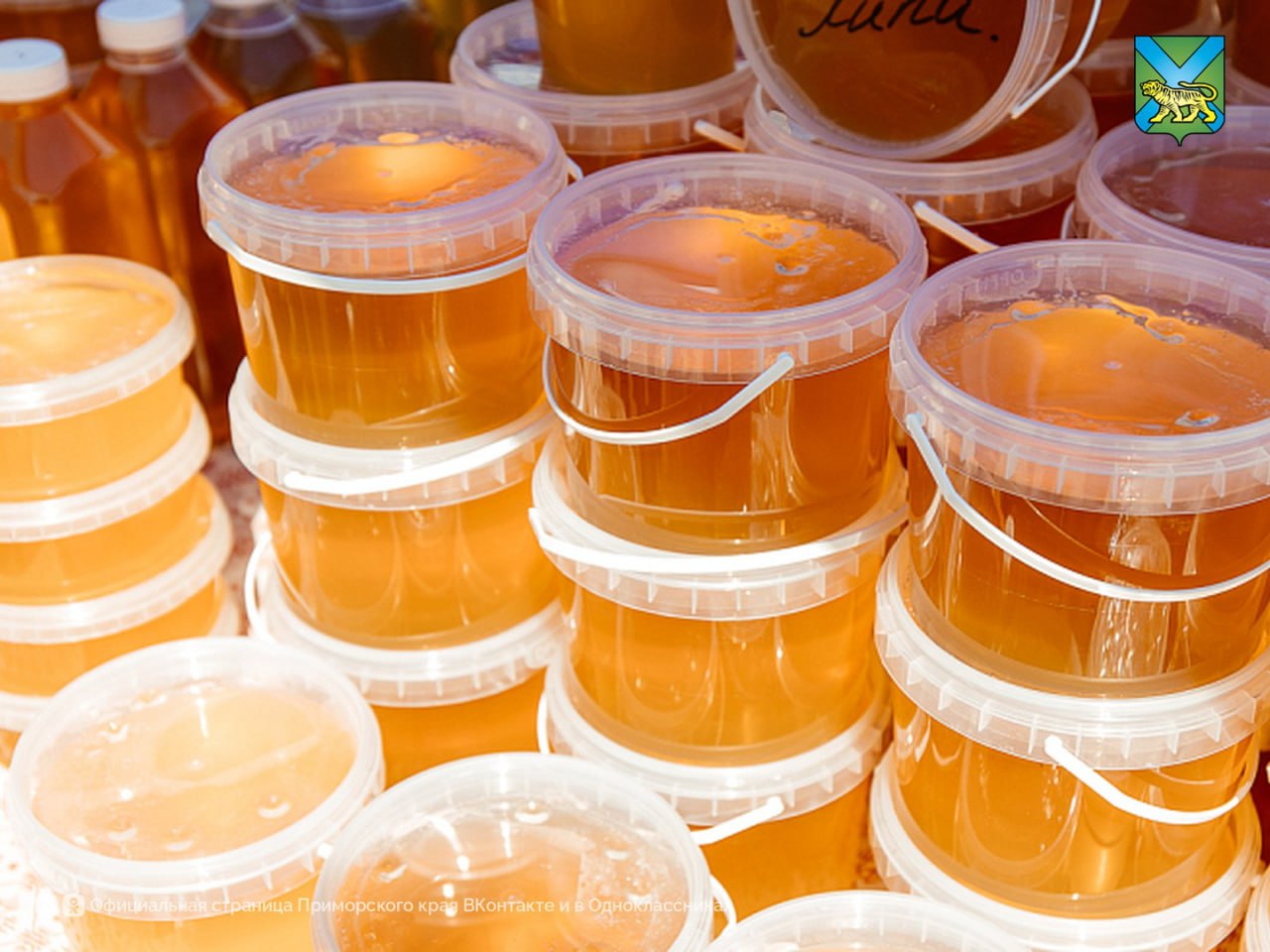 Полтонны мёда продали на новогодней ярмарке в Приморье Во Владивостоке жители и гости города приобрели около кг экологически чистого продукта Свой мёд представили хозяйства Нестеренко и Юрковы из Спасского и Чугуевского округов Все желающие перед покупкой могли попробовать натуральные сладости с таёжным чаем Важно что Приморье один из самых медоносных регионов России На данный момент в крае расположено около 1 7 тысячи пасек   Читайте новости первыми в нашем канале в Max