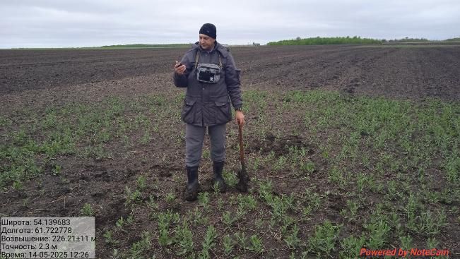 В Челябинской области появились две новые карантинные фитосанитарные зоны Сорняк-вредитель захватил еще около 900 гектаров земель.