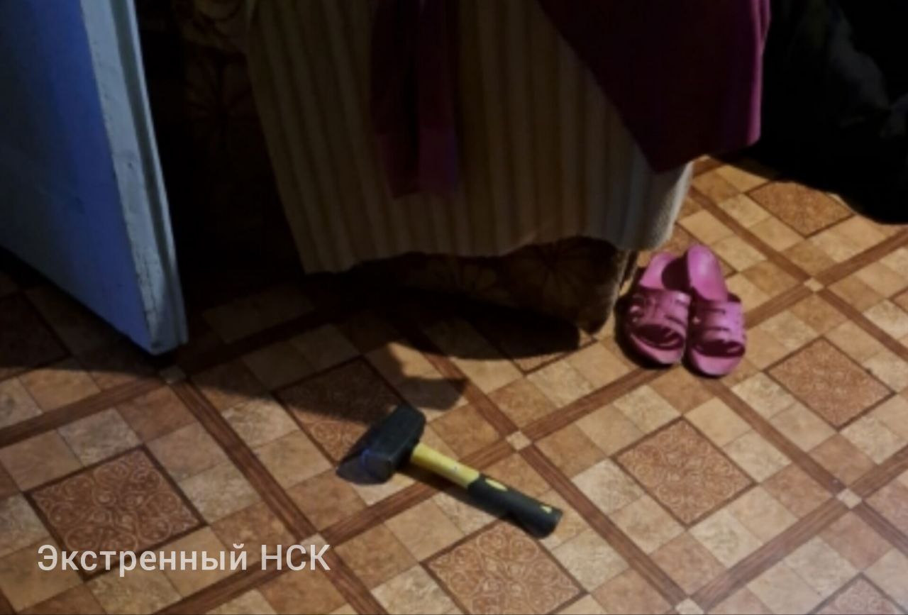 Родная кровь Житель Черепаново предстанет перед судом по обвинению в убийстве собственной матери. Силы беспомощной пенсионерки и физически крепкого мужчины были не равны. Тем более, агрессор вооружился строительным инструментом. «По версии следствия, 36-летний обвиняемый проживал совместно со своей пожилой матерью в городе Черепаново. Утром 4 февраля этого года он нанес женщине, не способной защитить себя в силу возраста, несколько ударов молотком по голове. От полученных телесных повреждений 73-летняя пенсионерка скончалась на месте.» СК возбудил уголовное дело по особо тяжкой статье. Сейчас материалы расследования с утверждённым прокурором заключением передают в суд для рассмотрения по существу. Фото СУ СКР НСО