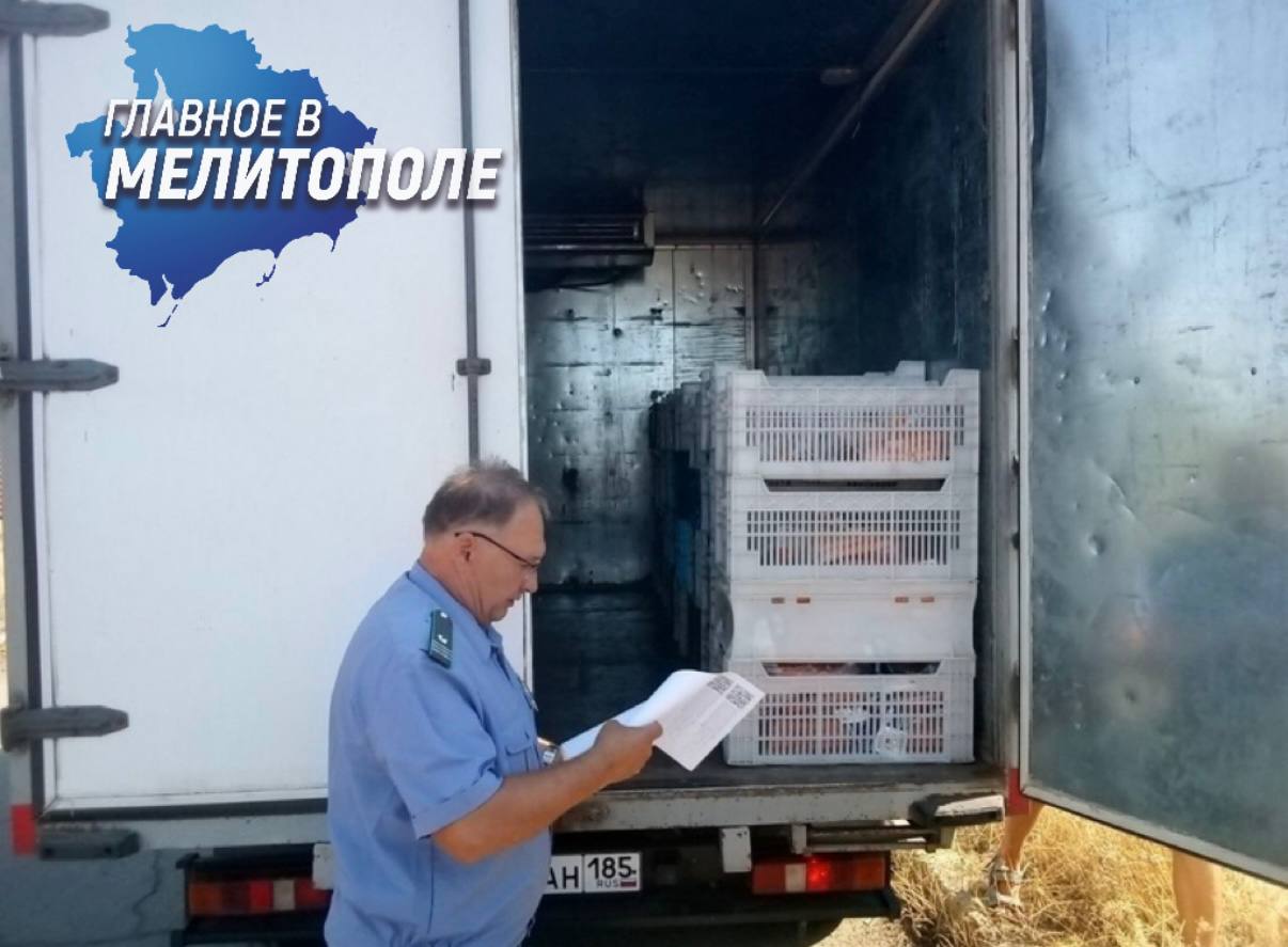 Россельхознадзор подвел итоги проверок в Запорожской области  Специалисты Азово-Черноморского управления Россельхознадзора совместно с военными с января по июль провели 25 рейдов, проверив 451 транспорт с продовольствием, скотом и растительной продукцией. В ходе проверок выявлено 50 нарушений, включая отсутствие необходимых ветеринарных документов и карантинных сертификатов.  По фактам нарушений выданы предупреждения предпринимателям и юрлицам, а в случаях перевозки животных без документов — требования о возврате для карантина. Местные власти и ветеринарная служба разрабатывают меры по предотвращению подобных нарушений, чтобы обеспечить безопасность продуктов и защиту здоровья населения.