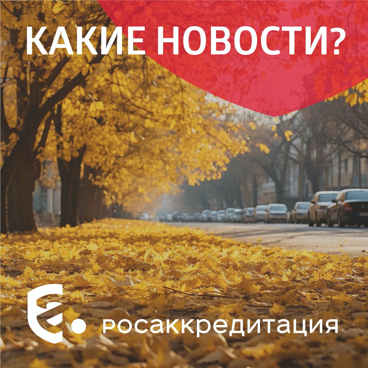 Какие новости Минпромторг рассказал о замещении западных брендов легкой промышленности Количество отечественных компаний в сегментах одежды и обуви выросло на 18 Каждый четвертый российский турист в этом году выбрал путешествие по стране в межсезонье Гости все чаще предпочитают короткие поездки продолжительностью два три дня чтобы посетить интересные мероприятия или узнать что то новое о других регионах Исследование доля российских товаров на полках гипермаркетов достигла почти 60 в 2025 году Наибольший рост зафиксировали в категории Товары для дома и интерьера Глава Минцифры оценил значимость цифровой платформы ГосЛог для маркетплейсов Платформа позволит наладить беспрепятственное цифровое взаимодействие между экспедиторами логистическими компаниями грузоотправителями перевозчиками и контролирующими органами проверяющими грузы В Госдуме нашли способ улучшить положение сферы отечественного туризма Частные лица смогут инвестировать в строительство отелей