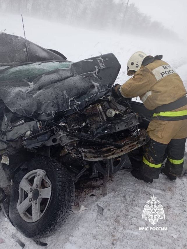 В Пономарёвском районе на трассе Р-239 в районе села Воздвиженка в ДТП с грузовиком погиб водитель внедорожника «Нива».   Столкнулись «Нива Шевроле» и фургон JAC.