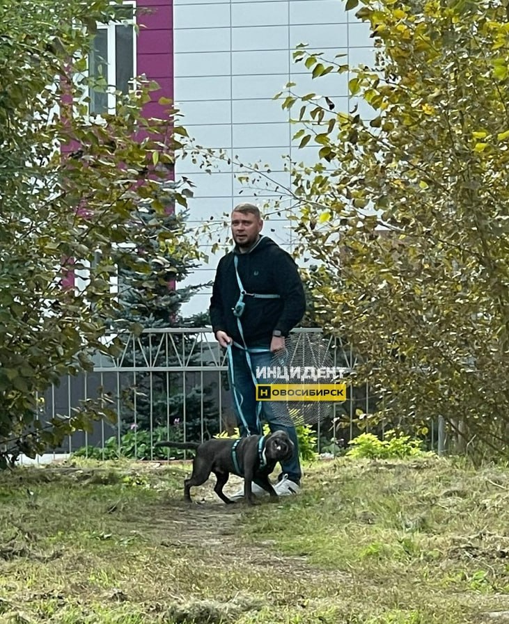 Спустил бойцовского пса с поводка и смотрел в Новосибирске питбуль загрыз породистого кота возле школы ЧП произошло днем 8 сентября недалеко от лицея 22 Надежда Сибири Около 16 часов местный житель Александр подъехал к дому на улице Советская 61 и увидел кота убегающего от питбуля Остановились чтобы посмотреть и увидели что рыжий кот породы бобтейл ранен Через дорогу стоял мужчина с поводком питбуль возвращался к нему рассказал Александр Кот лежал на тротуаре не двигался и истекал кровью вокруг собрались прохожие Первой к пострадавшему питомцу подошла девушка которая стала очевидцем произошедшего она пыталась понять жив ли кот Девушка рассказала что хозяин питбуля спустил бойцовского пса с поводка тот побежал за котом через дорогу а мужчина просто стоял смотрел и ничего не делал рассказал Александр Хозяин пса сообразил что происходит и пристегнул питбуля а потом быстро ушел с ним во дворы пятиэтажек Александр со своей девушкой аккуратно взяли кота на руки и отвезли в ветеринарную клинику Врачи выявили тяжелые травмы разрывы внутренних органов и кровотечения Врачи пытались его реанимировать ставили адреналин но травмы оказались несовместимы с жизнью Кота кремировали очень жалко мы помогли чем смогли Хотелось бы предупредить людей что бойцовский пес без присмотра опасен как и его равнодушный хозяин отметил Александр КП Новосибирск Подписаться на канал