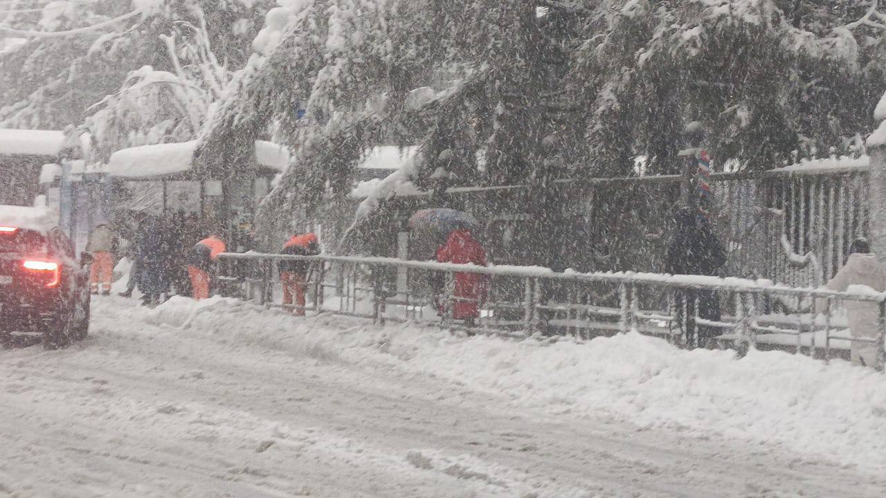 На Красной Поляне транспорт намертво вязнет в снегу  По словам местных жителей, дорожная обстановка на краснополянской трассе близка к критичной. Автомобилистам советуют без крайней необходимости не выезжать в этом направлении на своем транспорте. Решением проблемы занимаются специальные службы.   Спецтехнику, занимающуюся очисткой дорог, и автомобилистов, попавших в снежный плен, сопровождают сотрудники сочинской Госавтоинспекции.   Югополис - Новости Краснодара и края   ‍  Больше новостей на сайте ЮГОПОЛИС