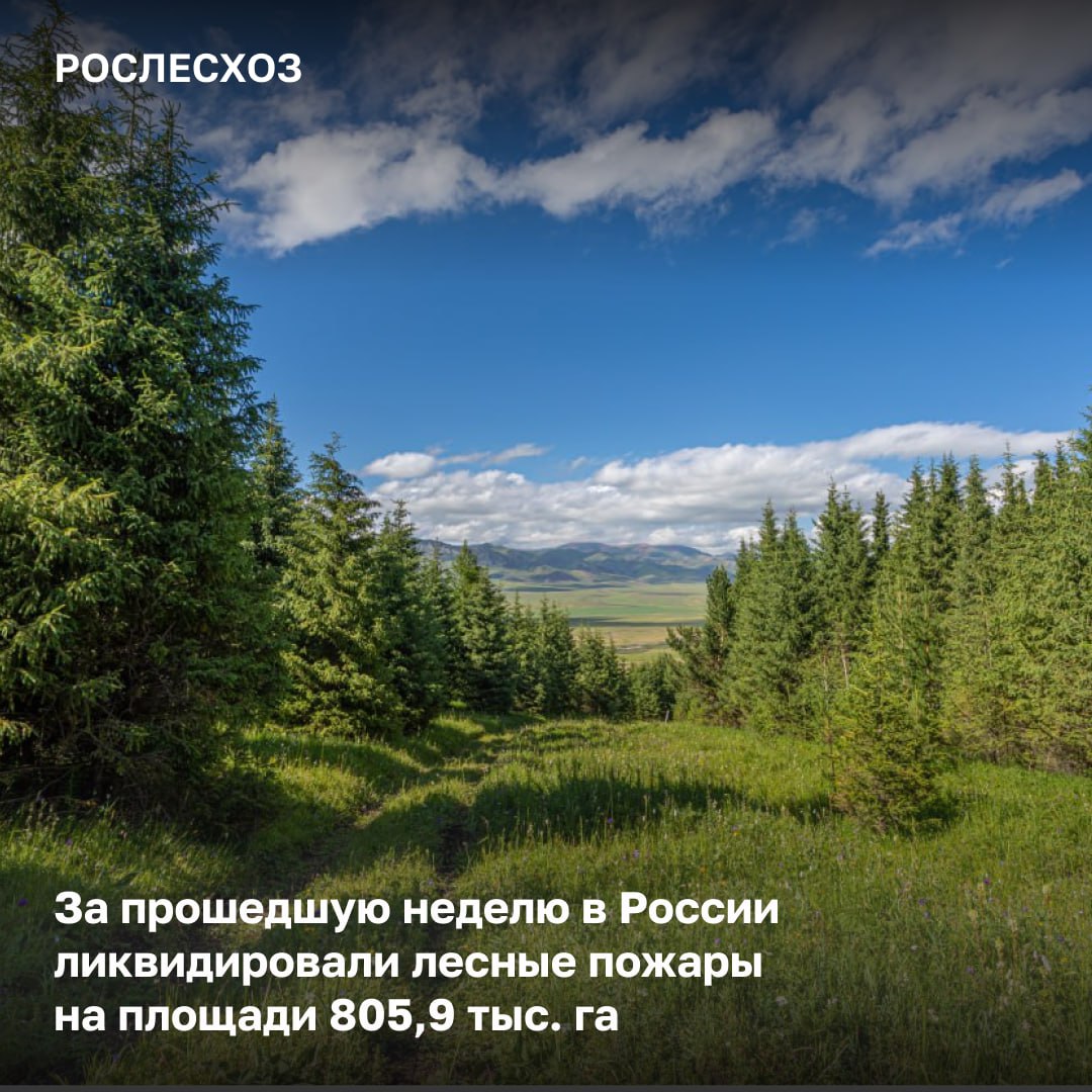 За прошедшую неделю работники лесопожарных формирований потушили 334 лесных пожара на площади 805,9 тыс. га. Большинство возгораний ликвидированы в горной и заболоченной местности. План на неделю «Наиболее сложная обстановка сохраняется в Забайкалье и Бурятии. В этих регионах наблюдаются сильные ветра и высокие температурные режимы. Для помощи в стабилизации обстановки мы регулярно усиливаем группировки лесных пожарных. Также по обращению губернатора Забайкалья направили опытных руководителей тушения крупных лесных пожаров с других регионов для координации действий на местах. Безусловно, это дает определенные результаты – за неделю удалось потушить пожары на площади свыше 800 тыс. га. Большая часть приходится на Забайкальский край – это 556 тыс. га. К концу недели планируется ликвидировать пожары на площади еще 200 тыс. га», - подчеркнул руководитель Рослесхоза Иван Советников. Ситуация с лесными пожарами находится на контроле ведомства и не угрожает населенным пунктам, объектам экономики. Про лесопожарную обстановку На 16:00 продолжаются работы по тушению 68 лесных пожаров на площади 401,7 тыс. га, из них 23,9 тыс. га – локализованы.