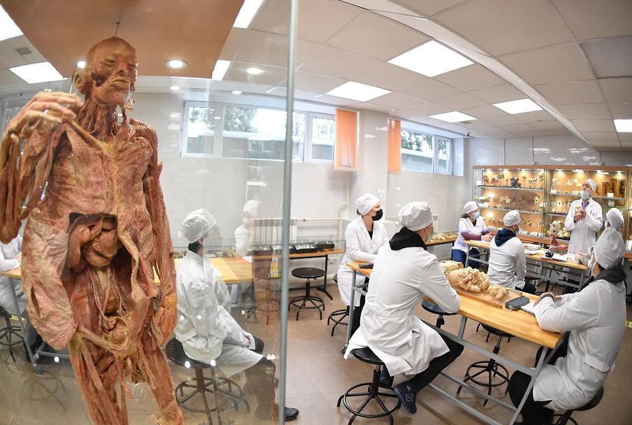 Коммерсанту стали известны подробности закона об обязательном трудоустройстве выпускников медвузов Согласно актам Минздрава максимальный срок три года работы под руководством врача наставника установлен лишь для некоторых медицинских специальностей К ним относятся например несколько видов хирургии онкология а также неонатология В большинстве случаев выпускникам медвузов придется работать не так долго а еще меньше тем кто выбрал для обязательного трудоустройства сельскую местность малые города или новые регионы К примеру на территории ДНР ЛНР Запорожской и Херсонской областей для каждой специальности срок работы с наставником будет вполовину меньше но минимум один год От работы с наставником полностью освобождены фармацевты и специалисты ряда редких медицинских направлений В частности Минздрав не стал делать наставничество обязательным для направлений гигиена питания гигиена труда организация санэпидслужбы авиационная и космическая медицина водолазная медицина jkinvest news jkinvest