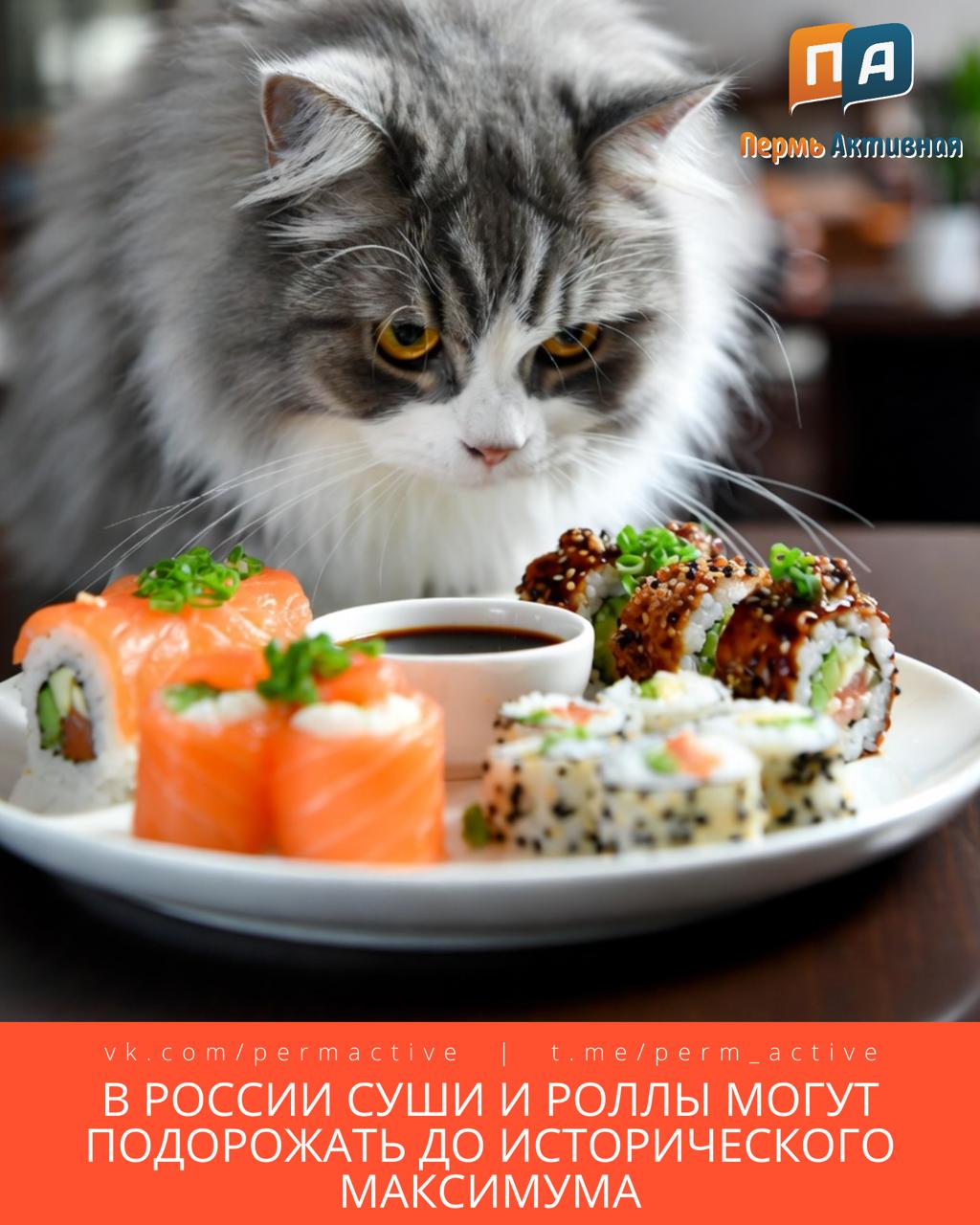 В России суши и роллы могут подорожать до исторического максимума эксперты прогнозируют что средняя цена порции перешагнёт отметку в 1000 рублей Основная причина опережающий рост себестоимости В зоне риска небольшие заведения работающие через агрегаторы и скидки Дорогие рестораны скорее всего только выиграют от перераспределения спроса Уже сейчас Филадельфия в хорошем исполнении стоит от 850 рублей и к концу года цена поднимется минимум на 150 рублей Подпишитесь на нас в ТГ MAX ВК Прислать материала