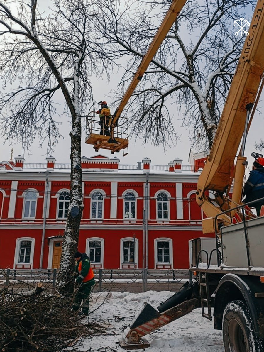 Вдоль проспекта Ленина в Колпино садовники освободили электросети от нависших ветвей деревьев. Работы провели вместе с сотрудниками «Ленсвета».  Специалисты аккуратно обрезали кроны. Чтобы защитить растения от инфекций и вредителей, обработали срезы специальным составом.  Нависшие ветви могли привести к короткому замыканию, отключению электричества или к обрыву проводов. Чтобы безопасно провести сложные работы, частично ограничили автомобильное движение по проспекту.