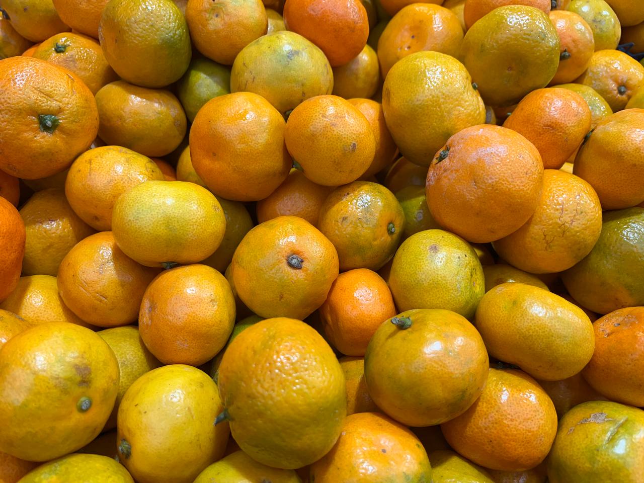 Врач Горячев рассказал как много мандаринов можно есть в сутки За праздничным настроением важно не забывать о здоровье мандарины это не только радость но и продукт требующий разумного подхода Врач общей практики с полувековым стажем работы Александр Горячев в беседе с телеканалом Краснодар предупредил о возможном вреде и ограничениях а также объяснил сколько можно есть мандаринов взрослым и детям Мандарины богаты витамином C который поддерживает иммунитет особенно актуальный в холодное время года В одном среднем фрукте содержится до 30 40 суточной потребности этого витамина Кроме того они улучшают настроение их яркий цвет и цитрусовый аромат стимулируют выработку серотонина что особенно ценно в тёмные зимние месяцы поделился специалист При всех плюсах мандарины по словам врача подходят не всем Подробности читайте в статье на сайте телеканале Краснодар Телеканал Краснодар в MAX Написать нам