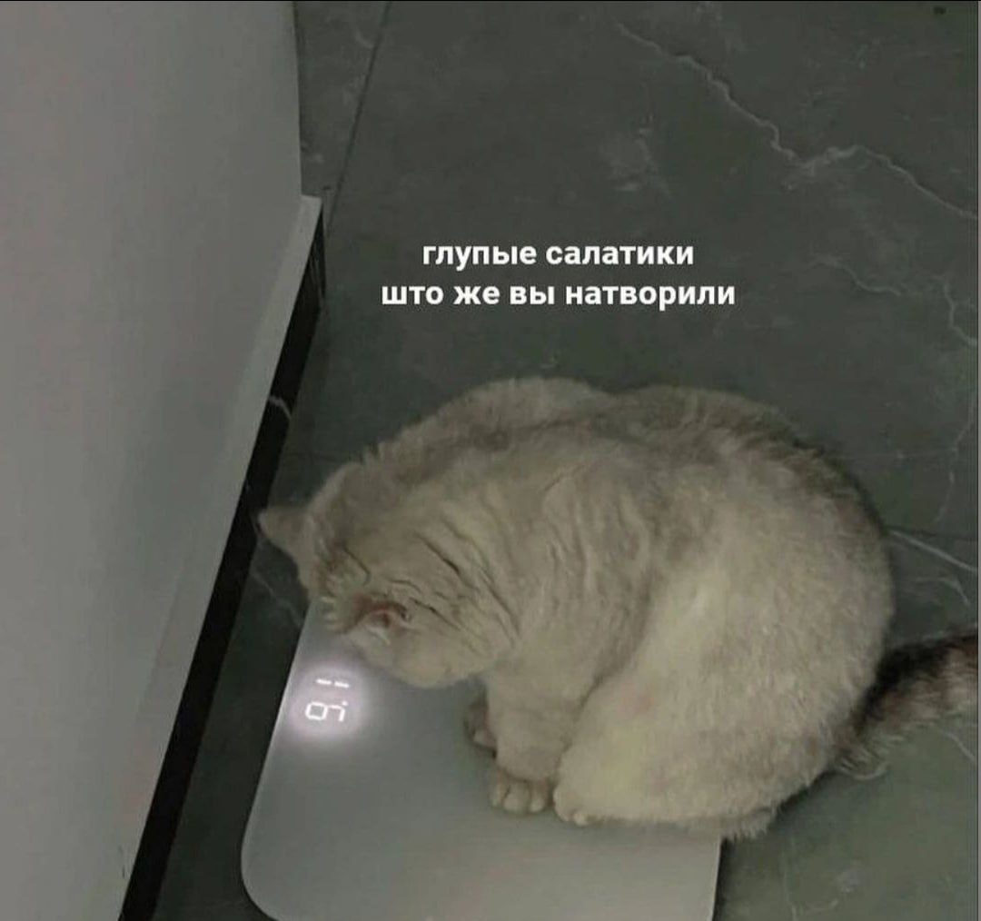 Ученые работают над созданием "волшебной таблетки" от ожирения Учёные Израиля нашли способ переключить клетки организма на прямое сжигание жиров — и, что важно, без вмешательства в уже накопленную массу. Небольшая справка от врача-эндокринолога Зухры Павловой: У человека есть митохондрии, это такие внутриклеточные органеллы, составляющие клеток, которые представляют из себя своеобразные печи. В эти печи забрасываются поступающие из пищи энергетические субстанции, которые снабжают нас энергией. Когда митохондрии работают плохо, мы становимся гиподинамичными - сил недостает. Исследователи из израильского университета добрались до митохондриального белка МТСН2. Именно он переключает режим накопления энергии на режим сжигания, в котором наше тело активно избавляется от избыточно потребляемых жиров. В этом режиме мы бодры, веселы и стройны. Сейчас ученые как раз работают над разработкой нового низкомолекулярного терапевтического средства, которое могло бы заставить "Митча" замолчать. В случае успеха это может оказать глубокое влияние на потерю веса и лечение ожирения. Подписаться