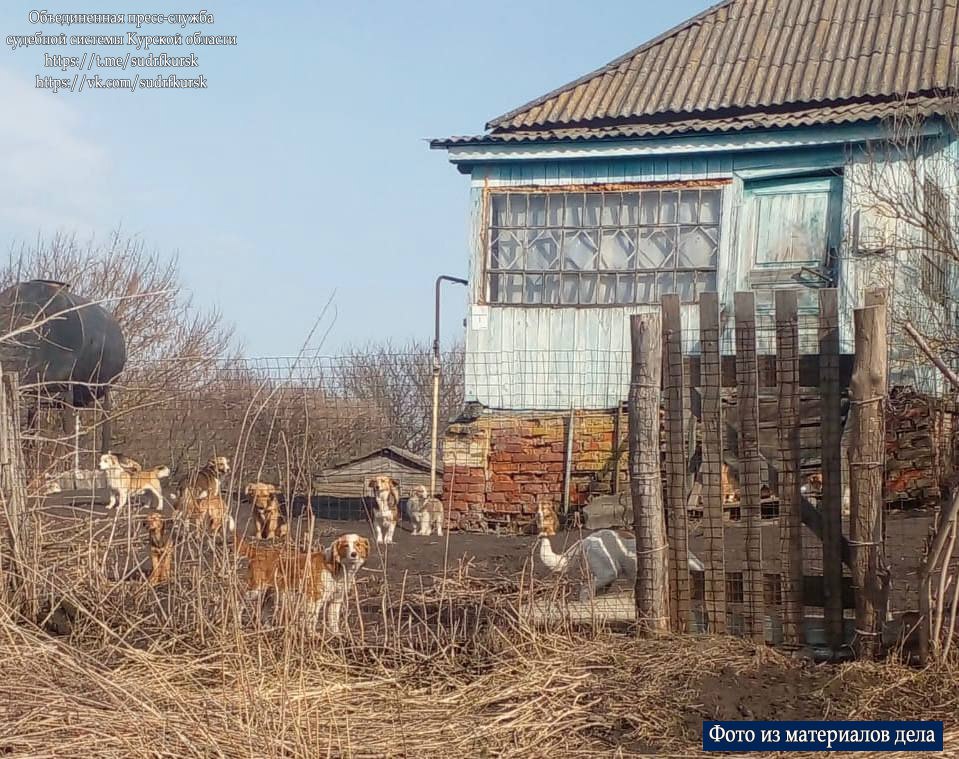 21 собаку придётся привить жителю Конышевского района. Именно столько животных он содержит на территории своего дома. При плановой вакцинации собак от бешенства владелец отказался предоставлять питомцев ветеринарным специалистам. Тогда управление Россельхознадзора обратилось в суд. В итоге требования сотрудников ведомства были удовлетворены, мужчину обязали предоставить всех собак ветеринарам для проведения прививки от бешенства. Курская Telega / Прислать новость