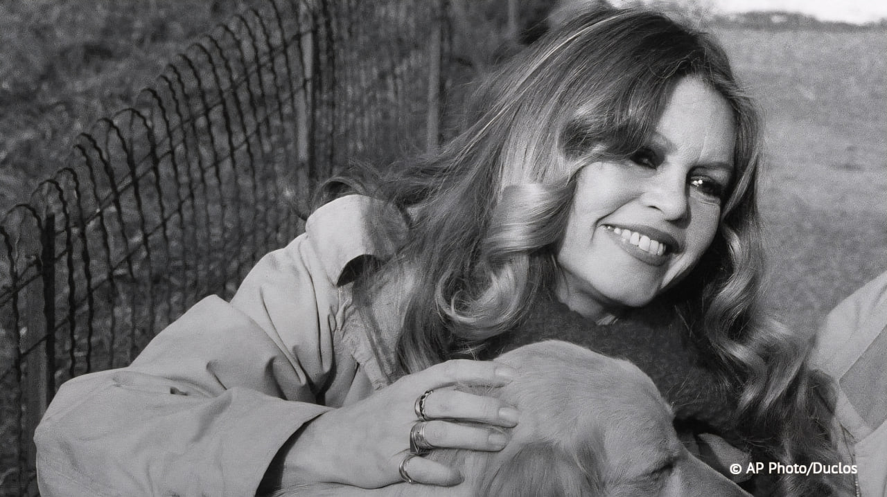 Французская актриса Брижит Бардо умерла в возрасте 91 года сообщает AFP