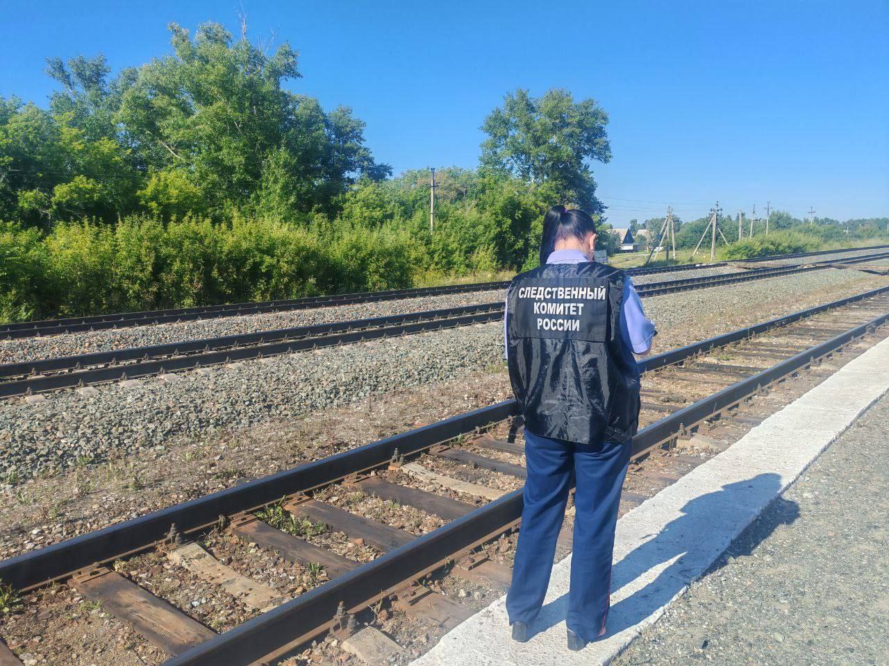 В Павловском районе поезд насмерть сбил мужчину По предварительным данным, сегодня днем на 1 главном пути 279 км 9 пикет ст. Арбузовска Западно - Сибирской железной дороги тепловозом был травмирован мужчина, который скончался на месте, - сообщает пресс-служба Восточного МСУТ СК России. Проводится комплекс проверочных мероприятий, направленных на установление всех обстоятельств и причин произошедшего, по результатам будет принято процессуальное решение.