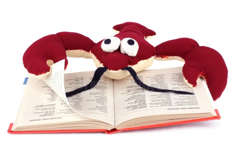 В декабре чаще всего книги покупали Раки Интересно почему так На них пришлось 9 6 всех покупок в книжных магазинах сообщает МТС Банк Следом идут  Водолеи 8 9  Весы 8 6  Скорпионы 8 5  Овны 8 3 Реже остальных за книгами заходили Близнецы 7 3 Тельцы 7 6 и Козероги 7 7 По информации КИОН Строки почти половина россиян считают книгу лучшим подарком Ещё 35 с этим согласны но дарят их редко При этом 10 уверены что есть подарки и получше однако всё равно выбирают литературу для друзей и близких Также стало известно какие жанры чаще всего дарят  Классика 36  Триллеры и детективы 24  Фэнтези и фантастика 19  Любовные романы 11