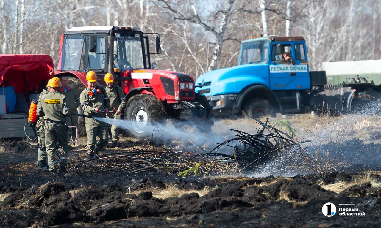 Чрезвычайная пожарная опасность объявлена на юге Челябинской области   На остальной территории продолжает действовать IV, предпоследний класс горимости леса. Все из-за сильного ветра и теплой погоды.   В такие периоды запрещено разводить костры, жечь траву и мусор, бросать окурки, а также промасленные или пропитанные бензином обтирочные материалы. Нельзя оставлять на освещенной солнцем поляне стеклянные бутылки и другие емкости, поскольку они могут сработать как зажигательные линзы, фокусируя солнечные лучи.     / Прислать новость