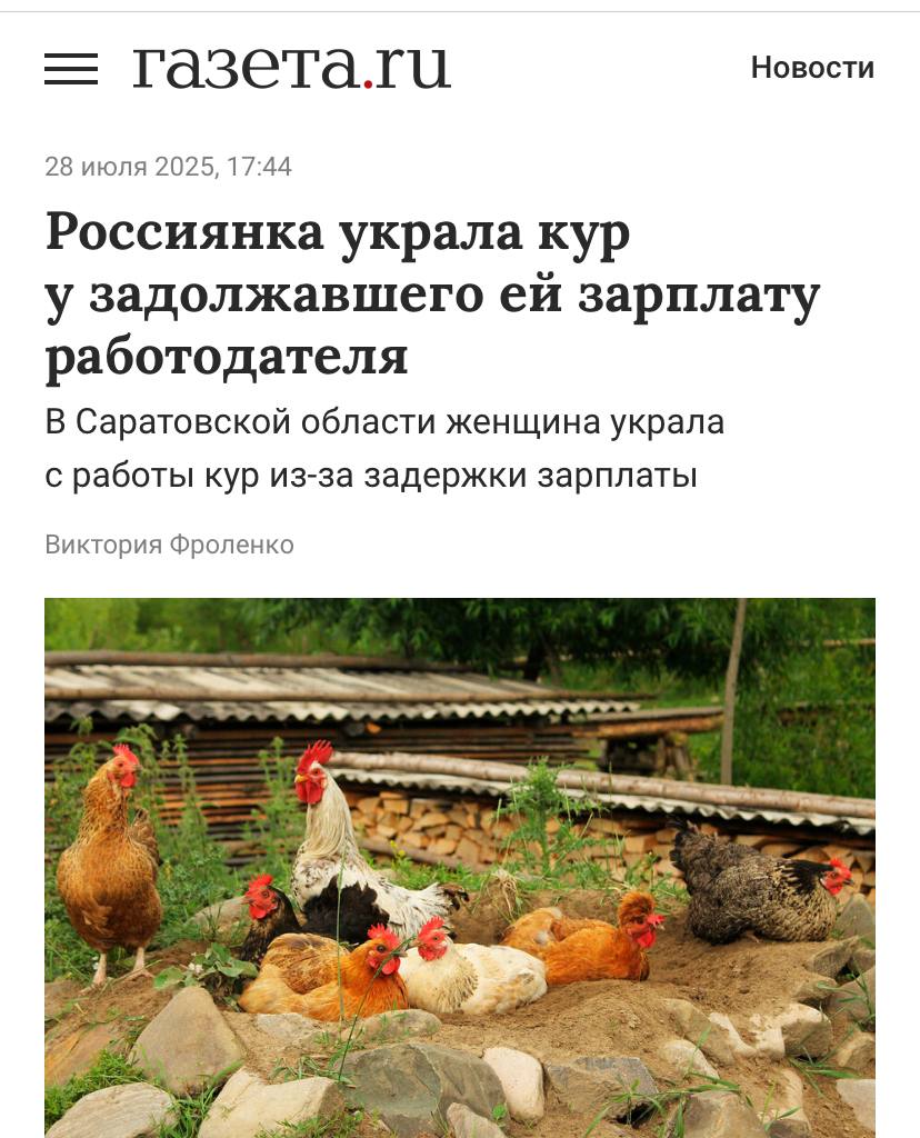 Анекдот: россиянка украла у босса десяток кур, чтобы он выплатил ей зарплату. По словам женщины, так она хотела привлечь к себе внимание работодателя. Жадный начальник задолжал денег после увольнения сотрудницы и не хотел встречаться с бывшей работницей. Тогда женщина решилась на крайние меры, но теперь может получить 5 лет тюрьмы. Работяги что-то почувствовали.