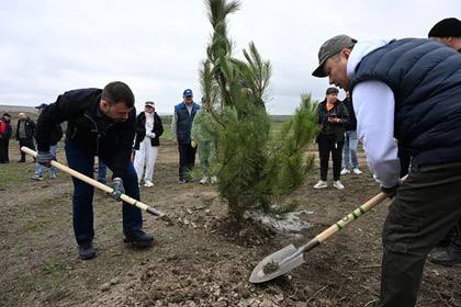 Пушилин объявил о расширении программы «Зеленый Донбасс» Инициатива «Зеленый Донбасс», направленная на благоустройство и озеленение территории Республики, набирает обороны. Об этом сообщил Глава ДНР Денис Пушилин. Он уточнил, что помимо запланированного ремонта памятников и монументов, в проект были включены дополнительные объекты благодаря обращениям жителей, указывающих местным властям на места, нуждающиеся в благоустройстве.