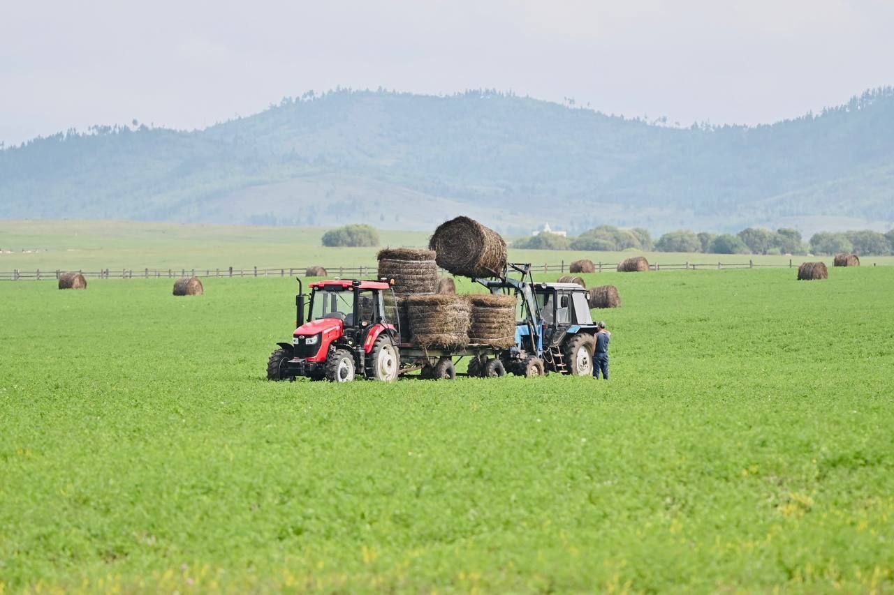 Бурятия получит дополнительно 19 9 млн руб по программе Агростартап До конца года по программе Агростартап еще 4 фермера Бурятии участники СВО и члены их семей получат финансирование на развитие своих проектов Как рассказал Глава Бурятии Алексей Цыденов дополнительные средства позволят поддержать проекты которые уже прошли конкурсный отбор и были следующими в рейтинге В итоге в 2025 году гранты Агростартап получат уже 22 наших земляка На грант можно купить землю технику племенной скот подготовить проектную документацию всё что нужно чтобы фермерское хозяйство развивалось Поддержка фермеров это поддержка развития сёл создание рабочих мест и вклад в продовольственную безопасность республики и страны подчеркнул Алексей Цыденов