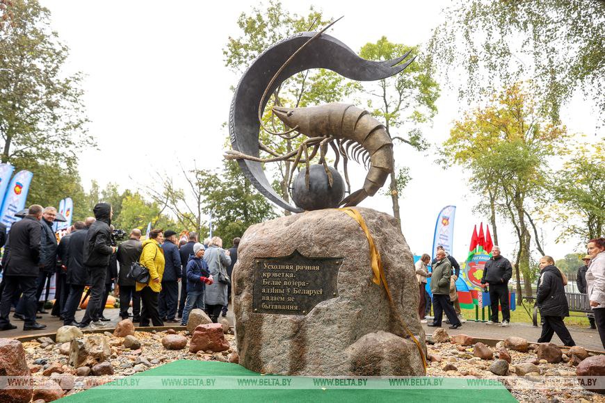 Памятник креветке дополнил облик Белоозерска столицы Дажынак 2025 в Брестской области Персонаж отнюдь не экзотический для этого края в Березовском районе водится речная креветка Сделать ей памятник предложил один из местных жителей Скульптурную композицию установили в городском парке Белоозерска
