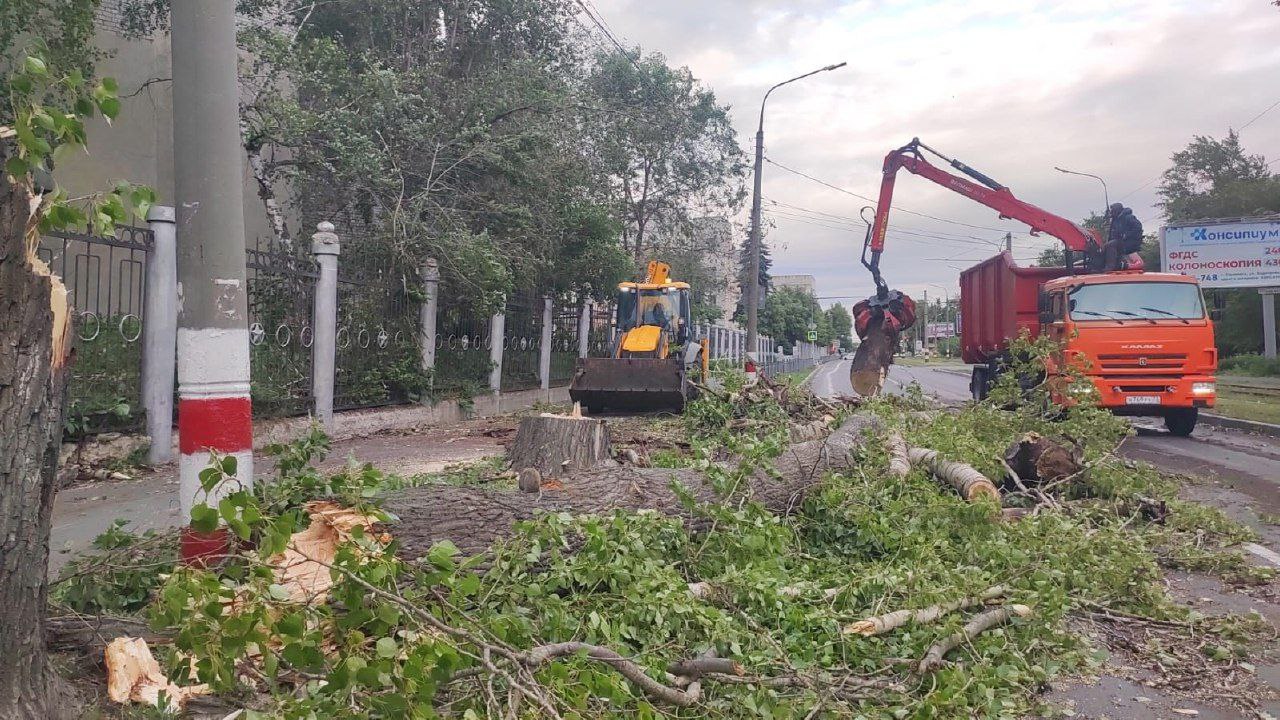 Последствия непогоды устраняют в Ульяновске.  Так, спасатели распилили и убрали десять деревьев и 12 надомленных стволов, специалисты продолжают работать по заявкам.  Если вы увидели упавшее дерево, сообщите по телефону 73-79-11 или напишите на Платформу обратной связи по ссылке.