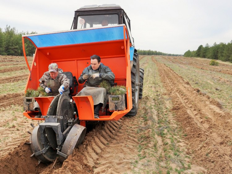 В Волгоградской области завершилась самая масштабная высадка деревьев В Волгоградской области в этом году высадили беспрецедентное количество деревьев Как рассказали Волжский ру в комитете природных ресурсов лесного хозяйства и экологии в рамках акции Сохраним лес появилось 953 тысячи молодых растений Участниками седьмой по счету всероссийской кампании стали около 3 5 тысячи жителей Подробнее на Волжский ру www volzsky ru index php wx 16 wx2 81844 ВолжскийРу волжский vlz
