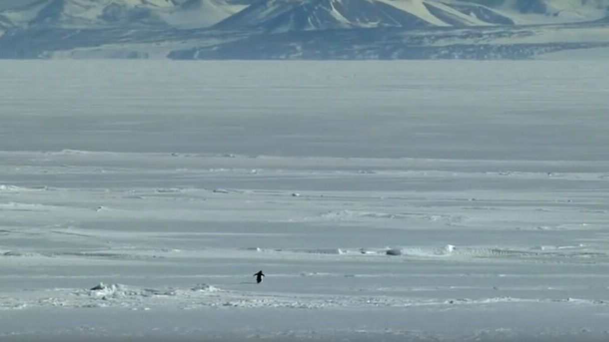 Обнаружена пригодная для жизни планета Все бы ничего но расположена она в 146 световых лет от Земли Планета HD 137010 b на 6 больше Земли и вращается вокруг своей звезды сходной с Солнцем Ее орбита также сходна с земной HD 137010 b обращается вокруг своей звезды за 355 дней Эта звезда холоднее и тусклее чем Солнце так что температура на поверхности планеты может быть ниже 70 C В принципе после минувших морозов нам не страшно же       Подписаться на Properm ru