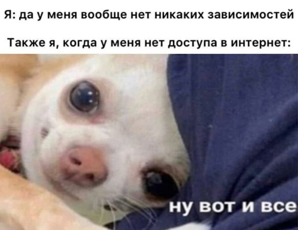 На территории Кремля заработал бесплатный Wi Fi Установить его здесь было непросто из за толстых стен и требований ЮНЕСКО   e kazan ru news show 51647