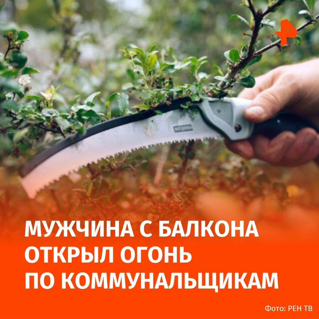 В Люберцах мужчина расстрелял сотрудников управляющей компании которые спиливали дерево во дворе его дома Никто не пострадал Как сообщили в подмосковной полиции ранее судимый житель находился на балконе своей квартиры в состоянии опьянения и открыл стрельбу по коммунальщикам Правонарушителя задержали на месте у него изъяли зарегистрированный травматический пистолет и алкоголь Сейчас мужчина находится в отделе полиции проводится проверка всех обстоятельств Подписаться на РЕН ТВ МАХ Отправить новость