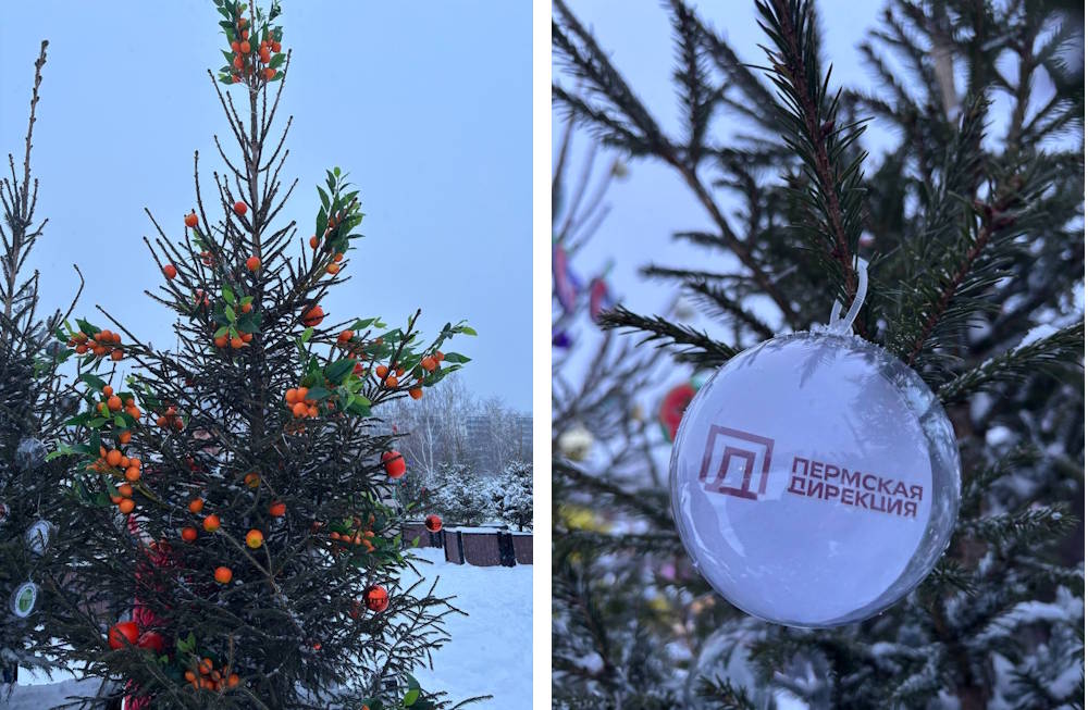 В Перми на эспланаде украсят сотню ёлок К Новому году в центре Перми на эспланаде планируется украсить сотню ёлок Они размещены в мобильных контейнерах Нарядить ёлки предстоит работникам городских учреждений культуры и образования Также на эспланаде завершается монтаж главной 33 метровой ёлки Церемонию зажжения огней планируется провести на этой неделе Подписаться на Интересную Пермь в ТГ в МАХ