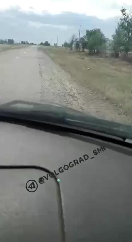 В Волгоградской области введен режим повышенной готовности из-за саранчи