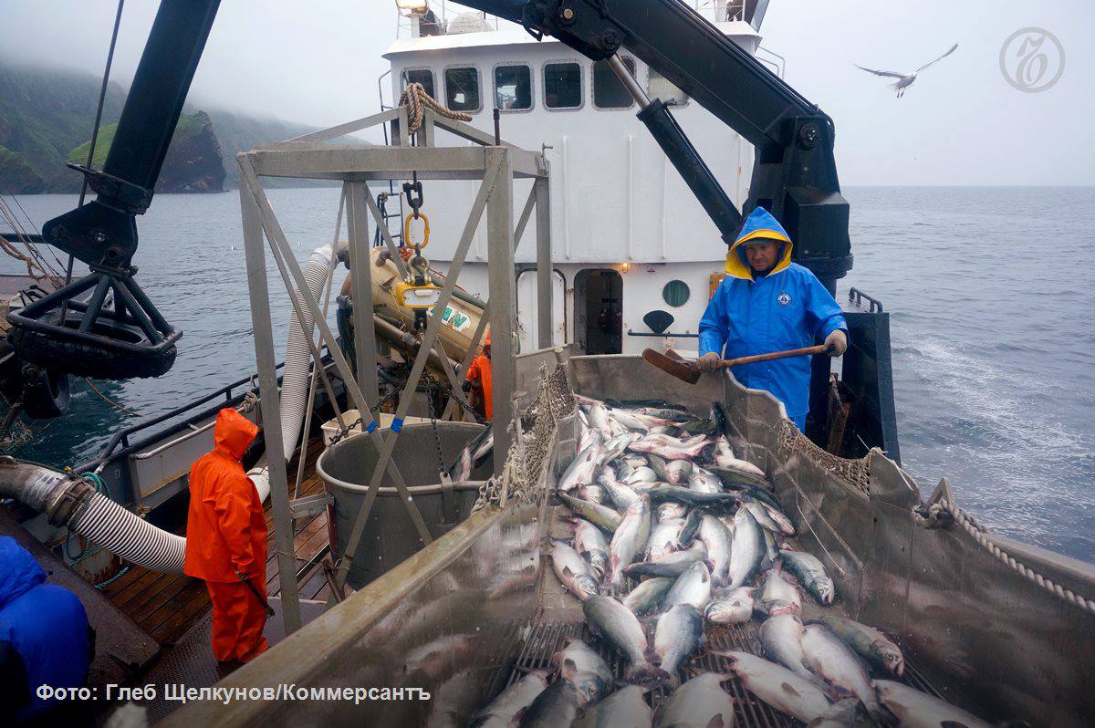 Бизнес просит смягчить требования к оснащению рыбопромысловых судов средствами аудио и видеофиксации Ассоциация судовладельцев рыбопромыслового флота АСРФ обратилась с такой просьбой в Минсельхоз РФ Копия письма есть у Ъ Проект приказа Минсельхоза предусматривает что системы фиксации обеспечат сбор материалов в процессе вылова взвешивания и хранения водных биоресурсов включая крабов Мера направлена на предупреждение незаконного промысла В АСРФ подсчитали что нововведение затронет суда обеспечивающие около 90 вылова в российских водах и зонах международных соглашений В организации добавляют что в общей сложности на модернизацию флота потребуется потратить не менее 5 млрд руб На первом этапе требование об обязательном оснащении судов средствами аудио и видеофиксации предлагается сделать добровольным сдвинув срок его вступления как обязательного требования с 1 марта 2027 года на 1 марта 2028 года Ъузнал