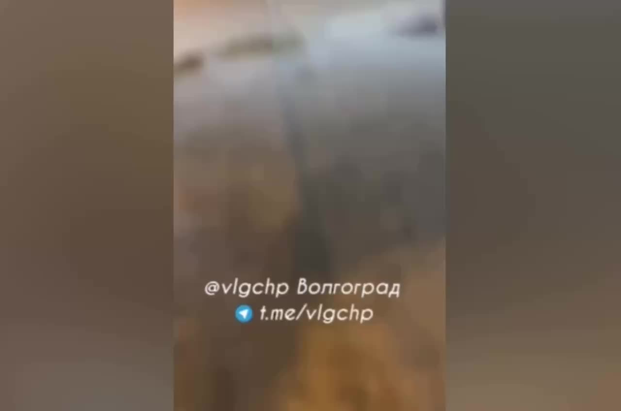 Полиция расследует сообщения о звуках выстрелов в Краснооктябрьском районе Волгограда