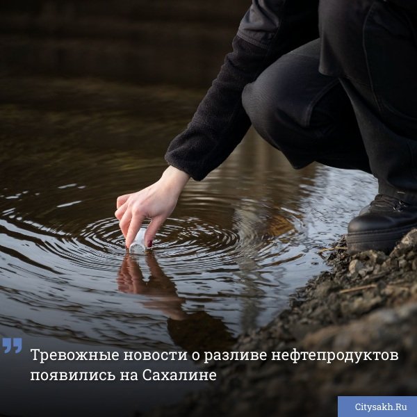 Позавчера, 19 июня, зафиксировано серьезное нефтяное загрязнение в акватории залива Старый Нобиль на северо-востоке Сахалина.