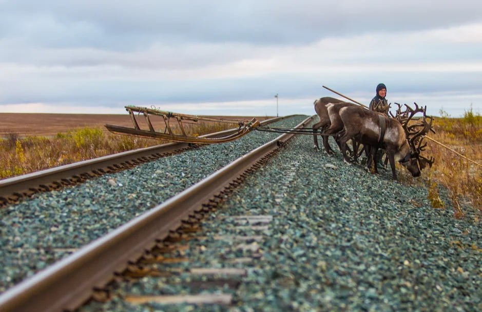 Российские власти могут отказаться от строительства Северо Сибирской железнодорожной магистрали Причина стоимость грандиозного инфраструктурного проекта из за сложных геологических условий оценённого в 50 трлн руб Эксперты считают что отказ от Севсиба не позволит обеспечить транспортной инфраструктурой Севморпуть предупреждая что стоимость магистрали могла оказаться даже выше заявленных 50 трлн руб jkinvest news jkinvest