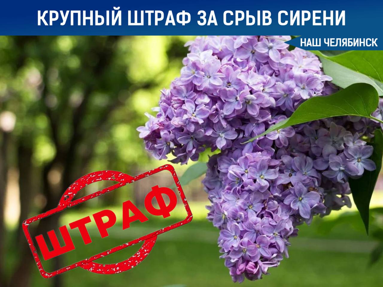 В Челябинске установят стелу в память о пропавших детях под названием «Живи» в сквере на улице Кирова Подготовительные работы начнутся скоро. Стела будет представлять собой два металлических полотна с каплями слез и фигурами детей, переходящими в улетающих птиц — символ надежды на возвращение пропавших домой. Подписаться на «Наш Челябинск»